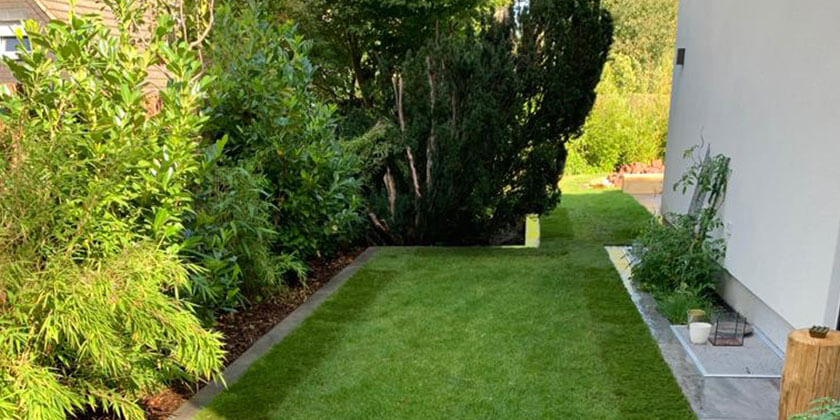 Gartenabschnitt mit Hecken