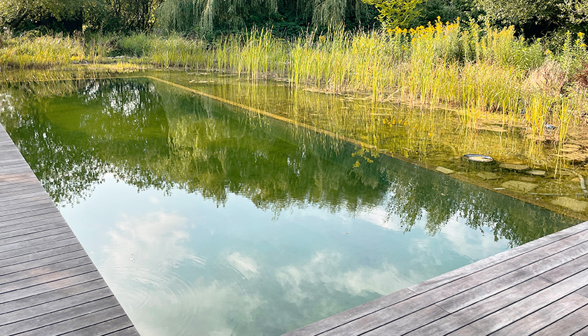 Großer Schwimmteich mit Holzsteg